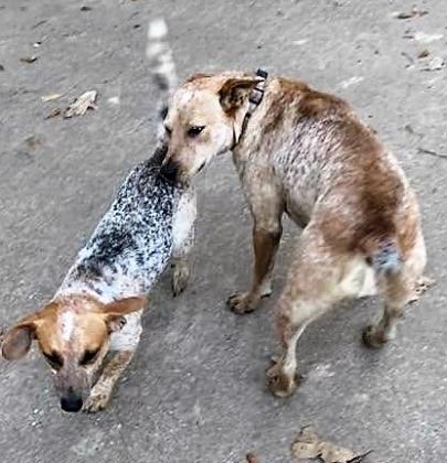 Article Image Alt Text