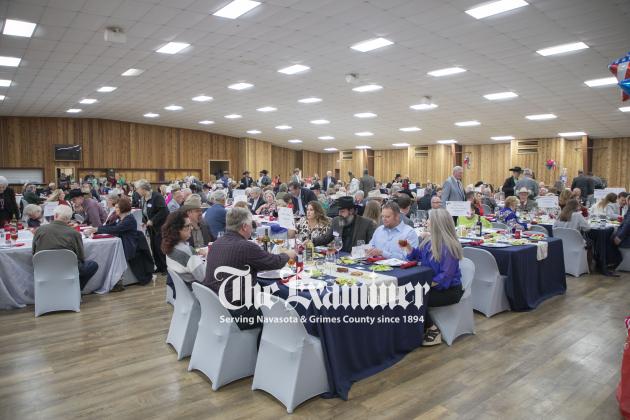 Article Image Alt Text