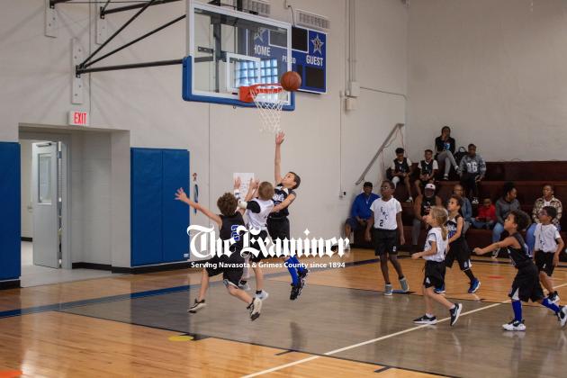 Article Image Alt Text