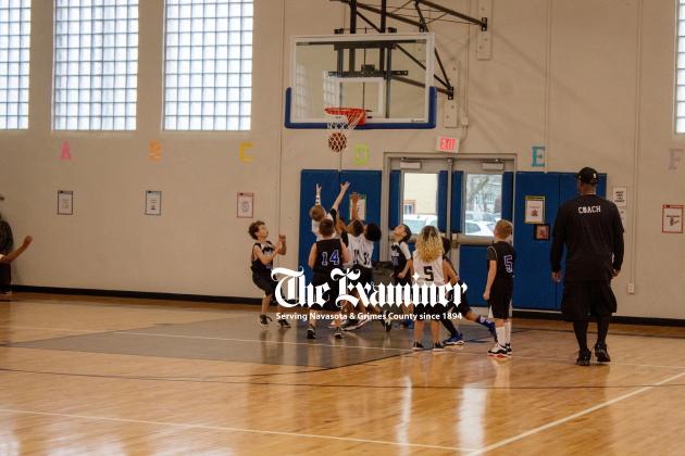 Article Image Alt Text