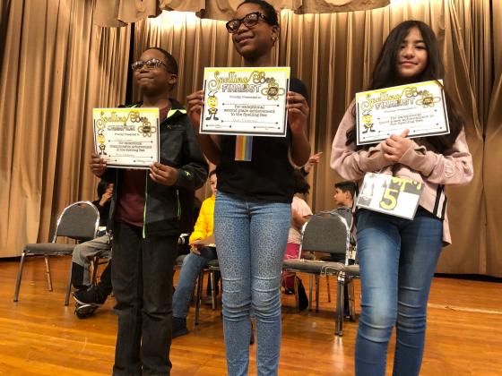 Article Image Alt Text