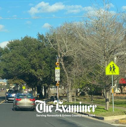 Article Image Alt Text