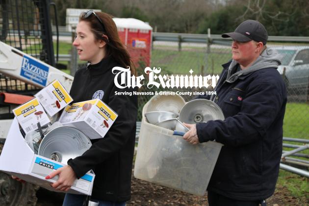 Article Image Alt Text