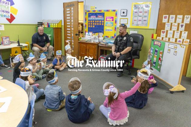 Article Image Alt Text