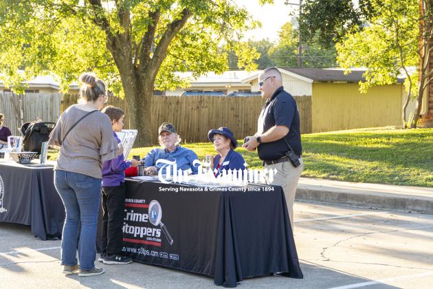 Article Image Alt Text