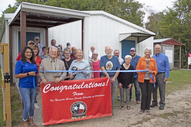 Article Image Alt Text