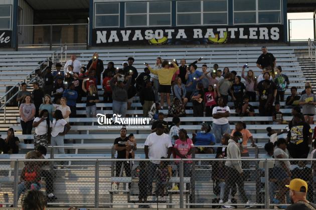 Article Image Alt Text