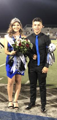 Article Image Alt Text