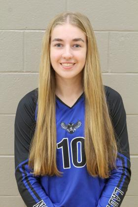 Article Image Alt Text