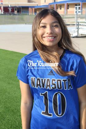 Article Image Alt Text