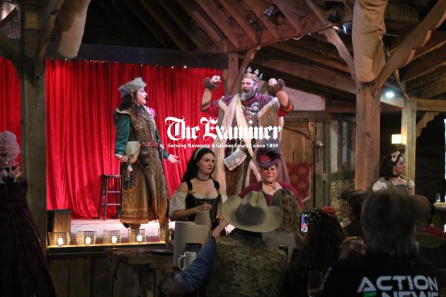 Article Image Alt Text