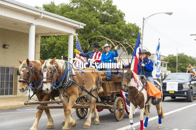 Article Image Alt Text