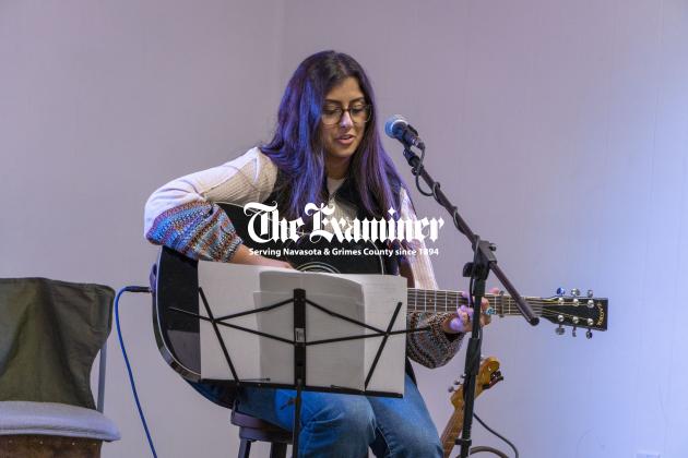 Article Image Alt Text