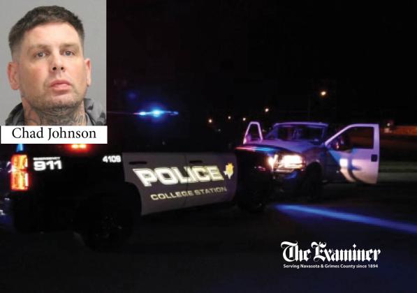 Article Image Alt Text