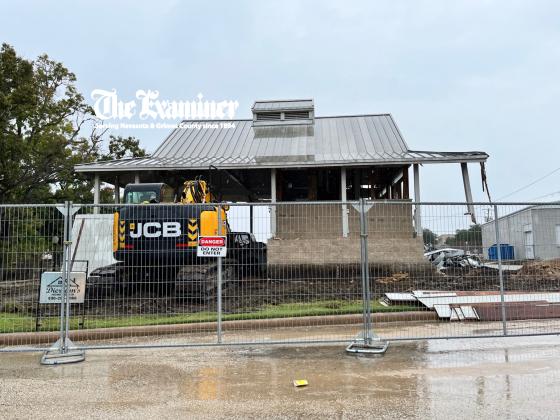 Article Image Alt Text