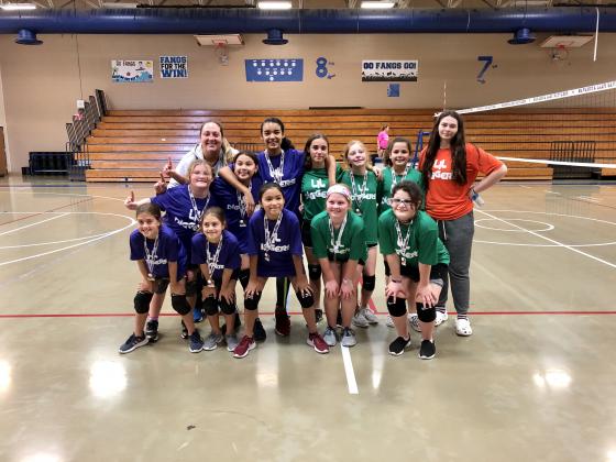 Article Image Alt Text