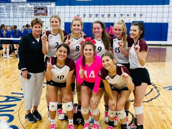 Article Image Alt Text