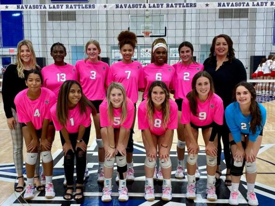 Article Image Alt Text