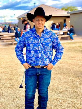 Article Image Alt Text