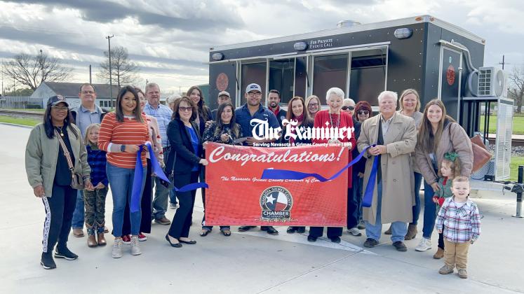 Article Image Alt Text