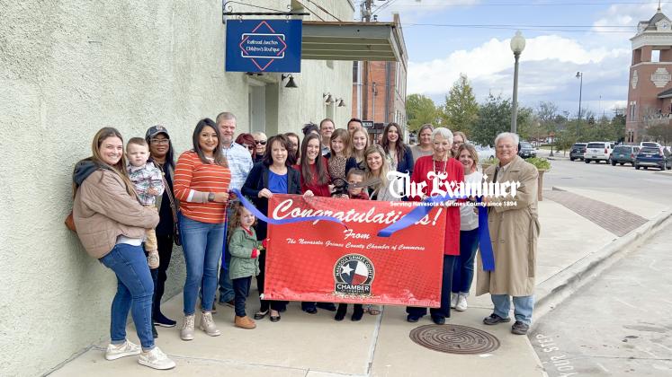 Article Image Alt Text