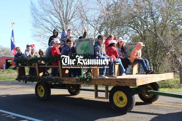 Article Image Alt Text