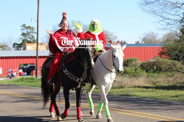 Article Image Alt Text