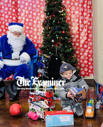 Article Image Alt Text