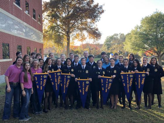 Article Image Alt Text