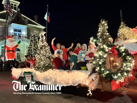 Article Image Alt Text