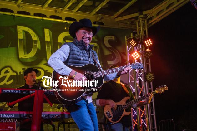 Article Image Alt Text