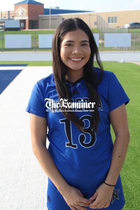 Article Image Alt Text