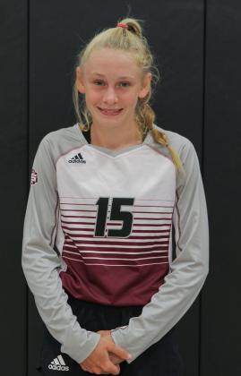 Article Image Alt Text