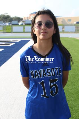 Article Image Alt Text