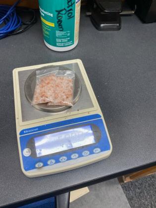 Article Image Alt Text