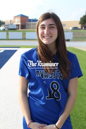 Article Image Alt Text