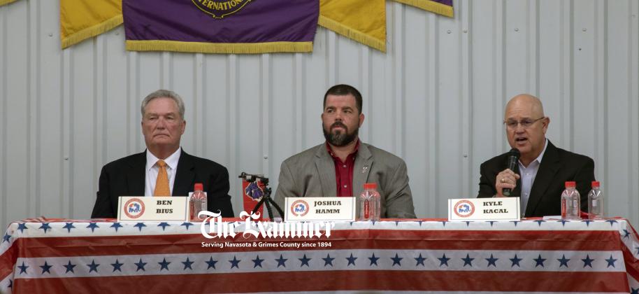 Article Image Alt Text