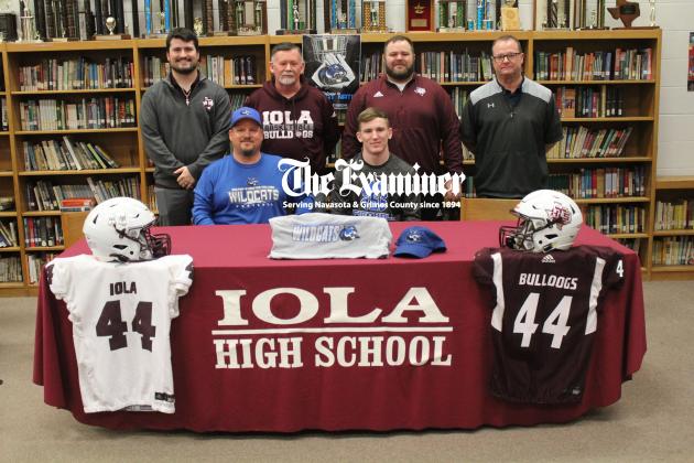 Article Image Alt Text