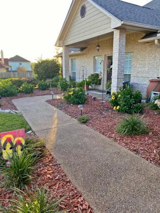 Article Image Alt Text