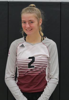 Article Image Alt Text