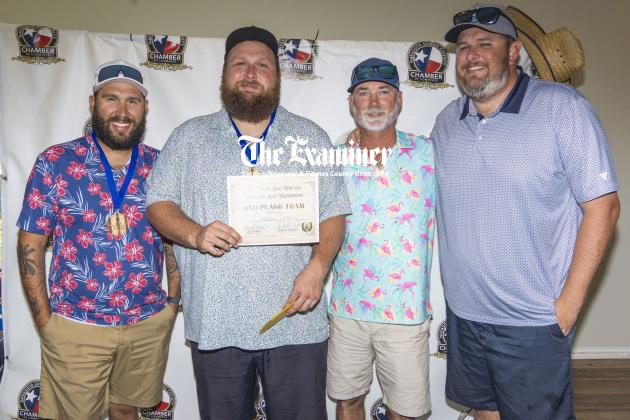 Article Image Alt Text