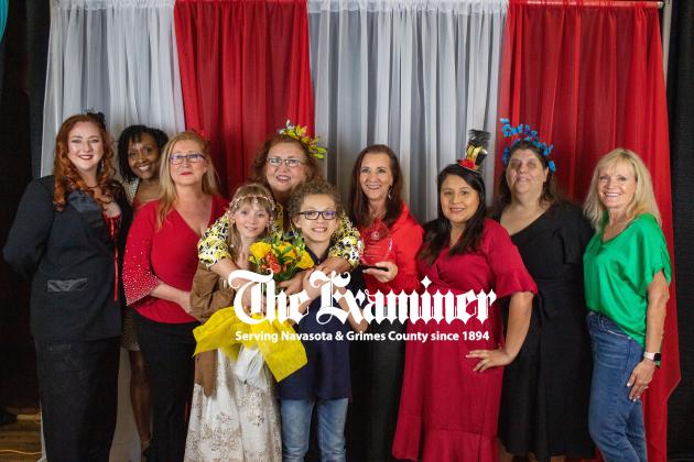 Article Image Alt Text