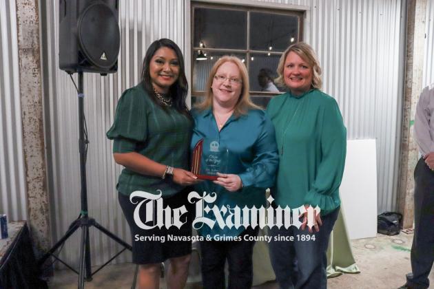 Article Image Alt Text