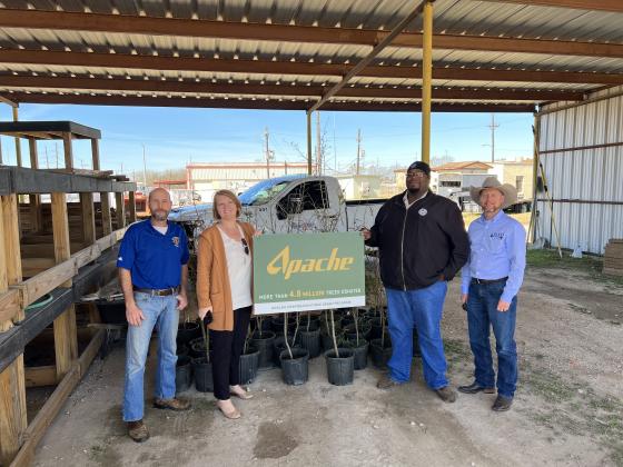 Article Image Alt Text