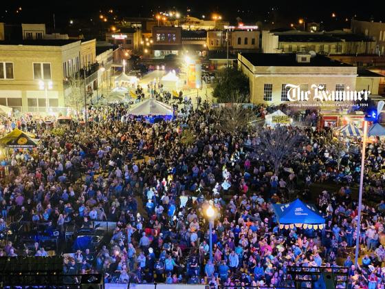 Article Image Alt Text