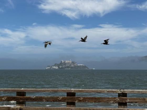 Article Image Alt Text