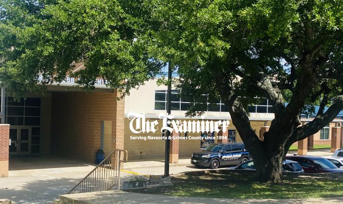 Article Image Alt Text