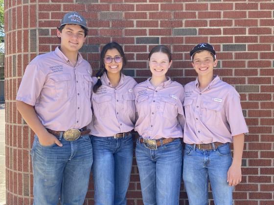 Article Image Alt Text