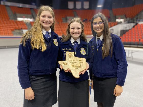 Article Image Alt Text