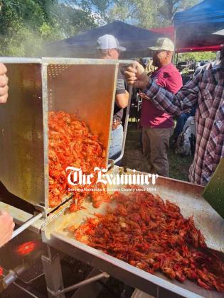 Article Image Alt Text